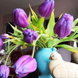 Meet your Posher, Alice